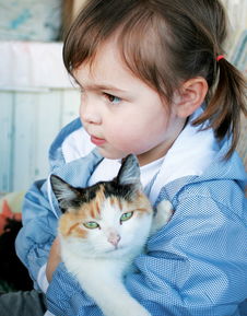 猫女孩游戏免费下载